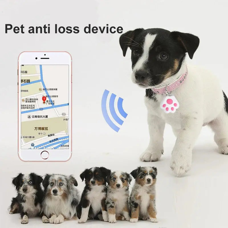 Mini Bluetooth GPS Tracker for Pets - DomoSpace