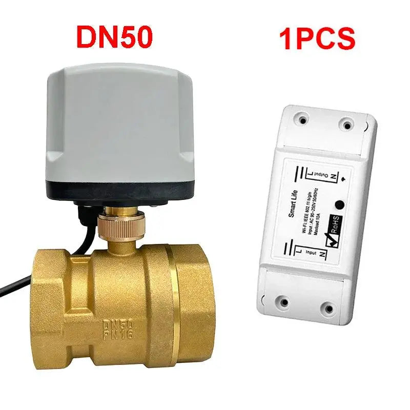 AC220V Water Auto Valve Controller Works With Alexa - DomoSpace