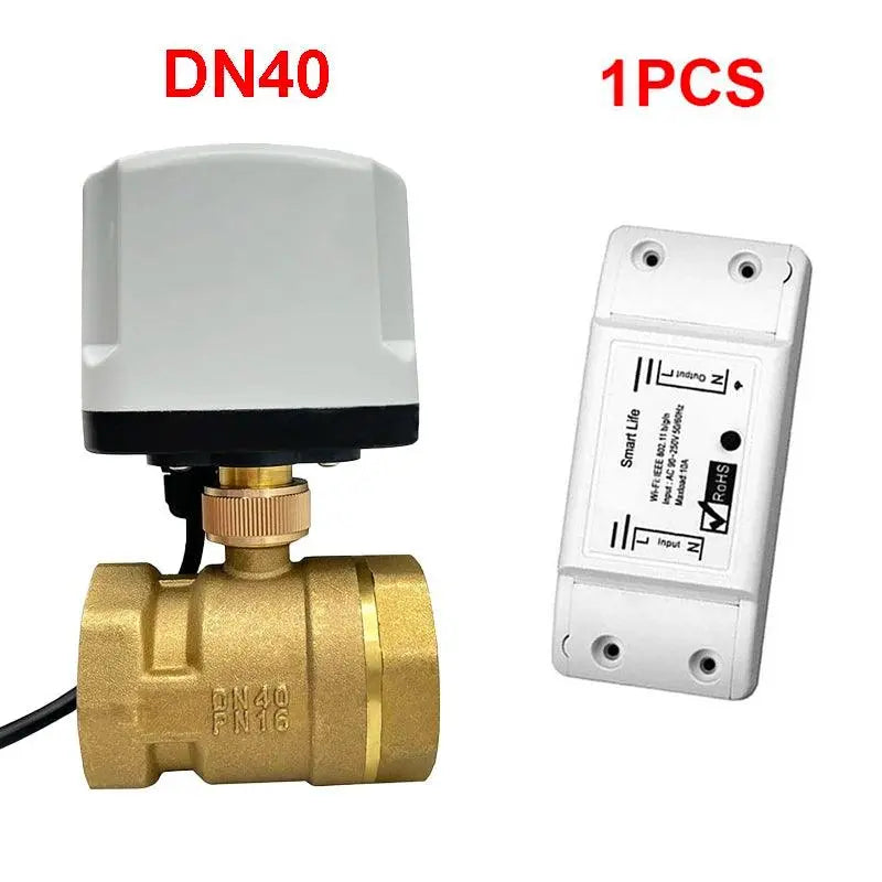 AC220V Water Auto Valve Controller Works With Alexa - DomoSpace