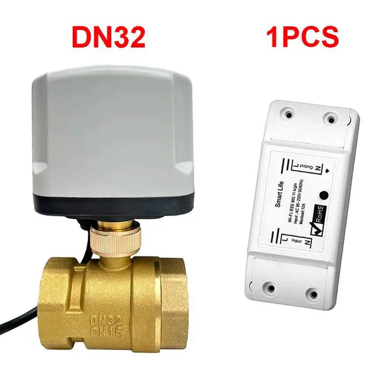 AC220V Water Auto Valve Controller Works With Alexa - DomoSpace