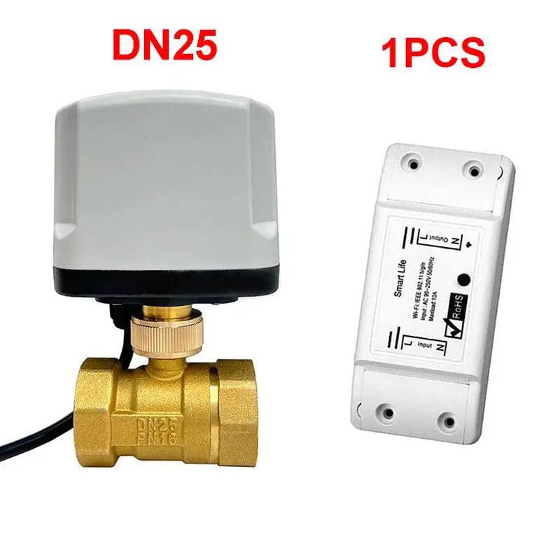 AC220V Water Auto Valve Controller Works With Alexa - DomoSpace