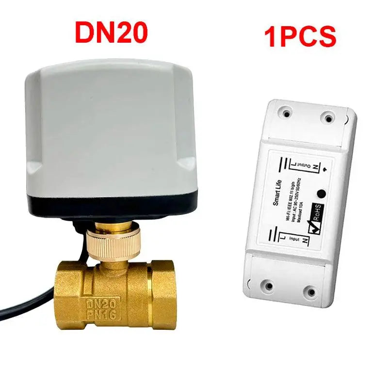 AC220V Water Auto Valve Controller Works With Alexa - DomoSpace