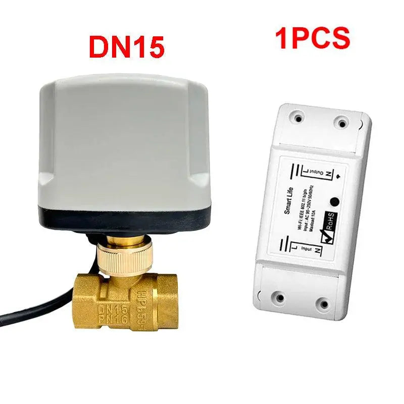 AC220V Water Auto Valve Controller Works With Alexa - DomoSpace