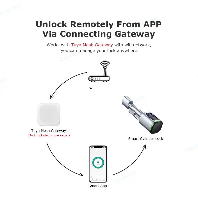 Tuya Biometric Smart Cylinder Lock - DomoSpace