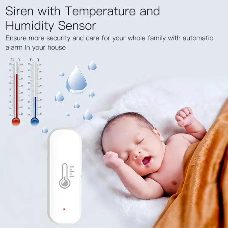 Indoor Thermometer For Home Work With Alexa - DomoSpace