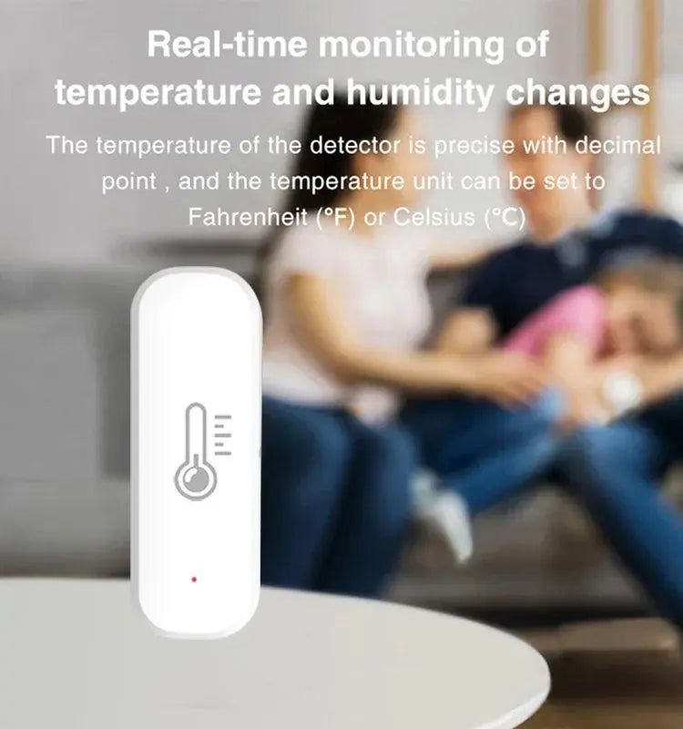 Indoor Thermometer For Home Work With Alexa - DomoSpace