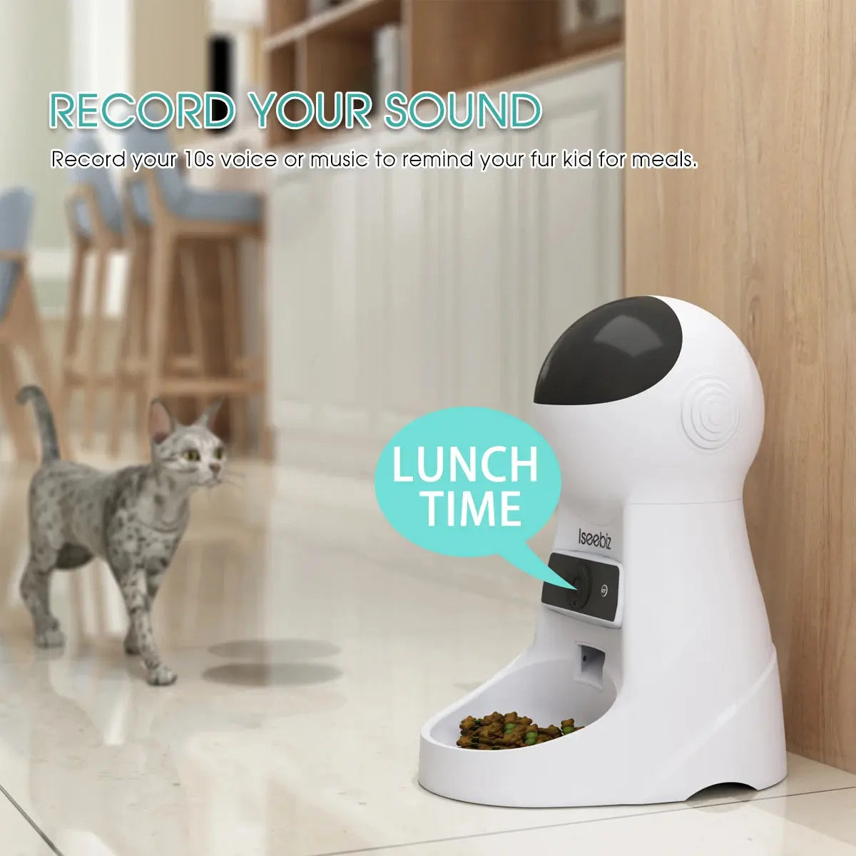 Smart Pet Feeder - DomoSpace