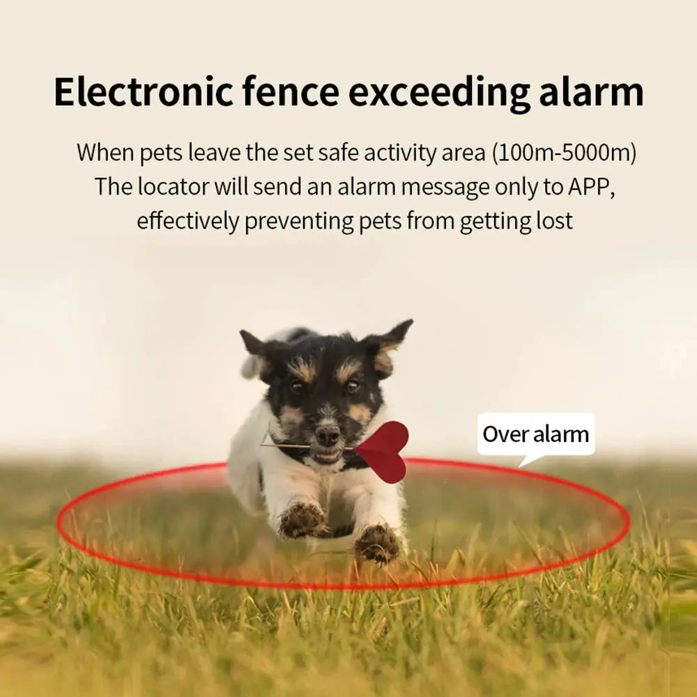 Multifunctional Smart GPS Pet Tracker - DomoSpace