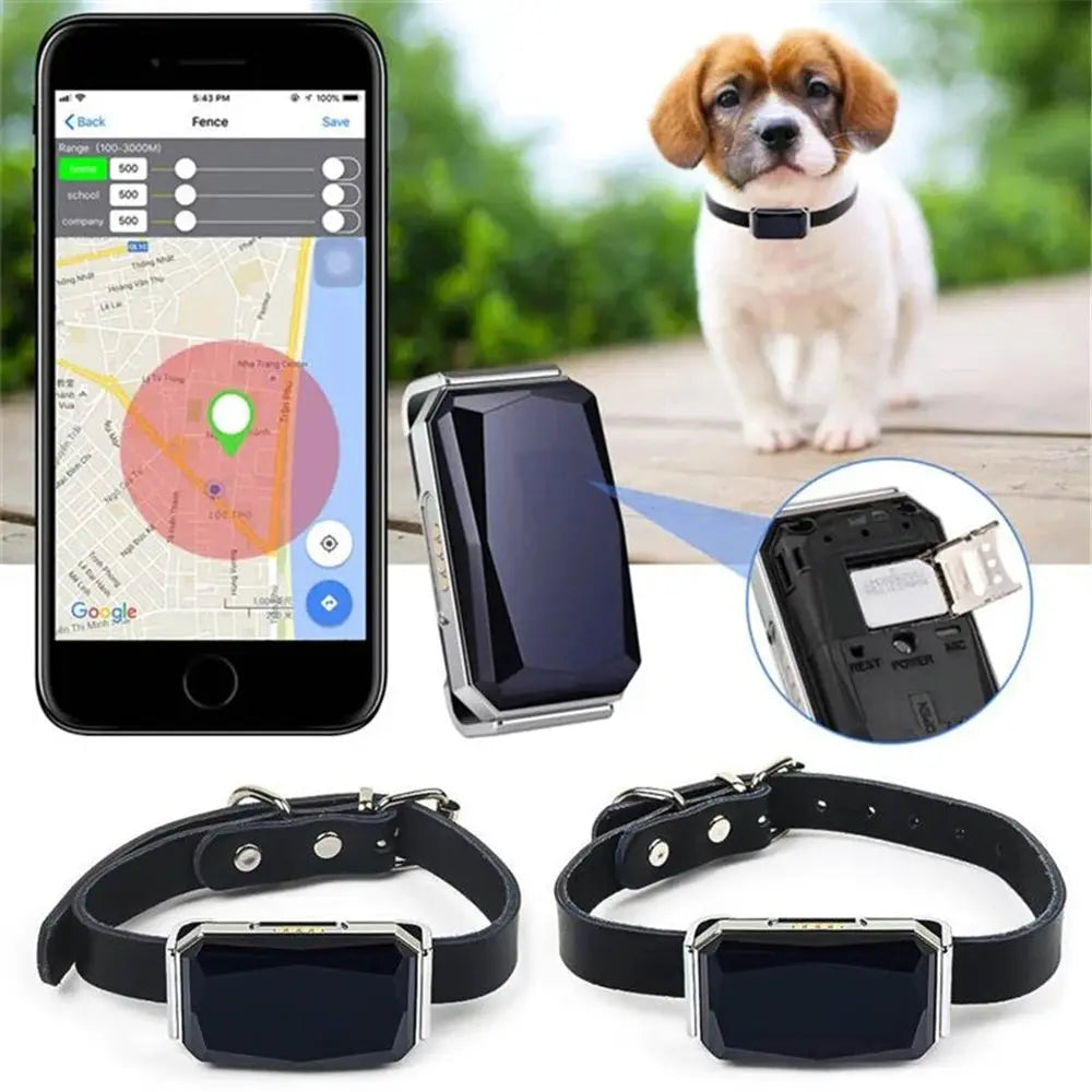 Multifunctional Smart GPS Pet Tracker - DomoSpace