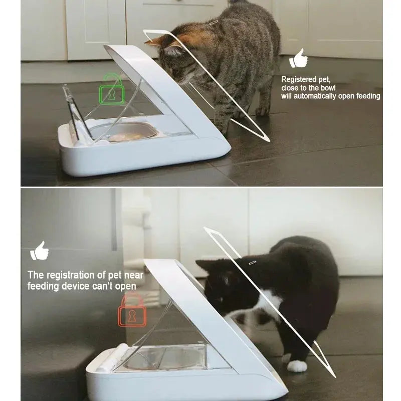 Smart Feeder with Chip Recognition Accessories - DomoSpace