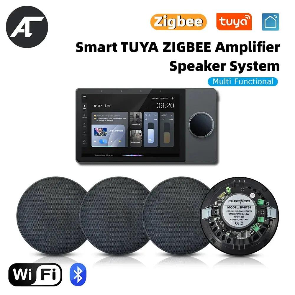 TUYA WiFi Smart Wall Amplifier Home Theater Sound System Bluetooth HiFi Stereo Build-in Class D Amp Ceiling Speakers for Hotel - DomoSpace