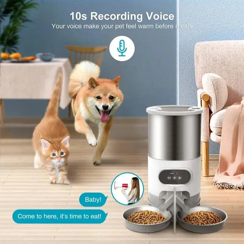 Tuya Smart APP Pet Feeder Cat And Dog Food Automatic Dispenser Suitable For Small And Medium-Sized Cats And Dogs Remote Feeding - DomoSpace